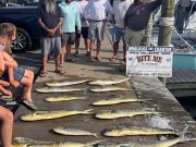 Bite Me Sportfishing Charters, More Dolphin