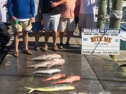 Bite Me Sportfishing Charters, Slow day good deep dropping!