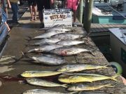 Bite Me Sportfishing Charters, Tuna Dolphin Wahoo Meat!