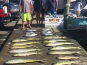 Bite Me Sportfishing Charters, Slower today but still good tuna dolphin!