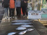 Bite Me Sportfishing Charters, Rough and Cold but good fishing