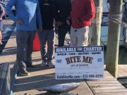 Bite Me Sportfishing Charters, November Tuna