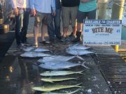 Bite Me Sportfishing Charters, Good fall fishing