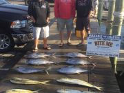 Bite Me Sportfishing Charters, First trip after the Hurricane!  Tunas and Dolphins!