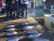 Bite Me Sportfishing Charters, Blackfins and a Sail