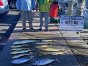 Bite Me Sportfishing Charters, Tuna and Dolphin