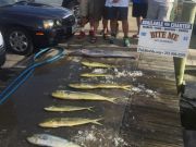 Bite Me Sportfishing Charters, Wahoo and dolphin