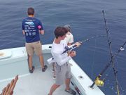 Tuna Duck Sportfishing, Sailfish and Amberjacks