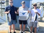 Tuna Duck Sportfishing, Sailfish Release