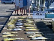 Bite Me Sportfishing Charters, Couple of great days!