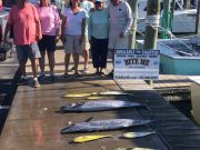 Bite Me Sportfishing Charters, Wahoos and dolphin on a pretty day!