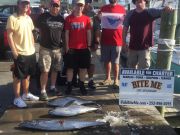 Bite Me Sportfishing Charters, mixed grill