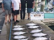 Bite Me Sportfishing Charters, fat blackfins and a wahoo