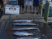 Bite Me Sportfishing Charters, What a difference a day makes