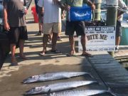 Bite Me Sportfishing Charters, Wahoos and a White Marlin