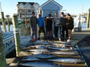Hatteras Harbor Marina, 3 Sailfish