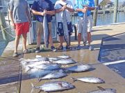 Tuna Duck Sportfishing, Wahoo and Tuna