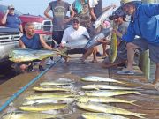 Tuna Duck Sportfishing, Varied Catch, Great Crew