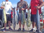 Tuna Duck Sportfishing, Fun Day Offshore