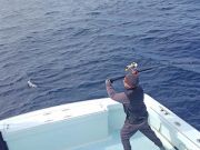 Tuna Duck Sportfishing, Bluefin Tuna Fishing