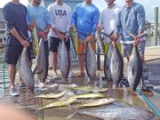 Tuna Duck Sportfishing, Yellowfin Tuna