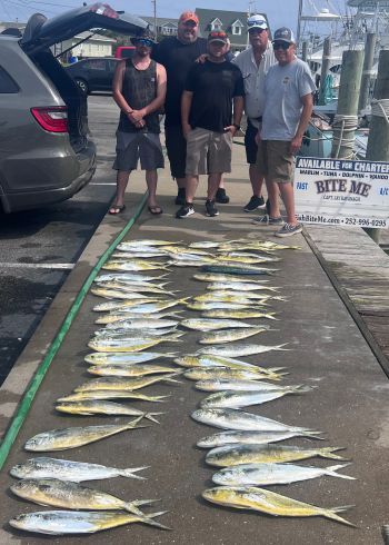 Bite Me Sportfishing Charters, Bailer Dolphin