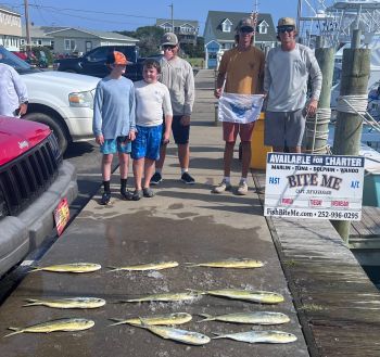 Bite Me Sportfishing Charters, Family Fun with dolphins and a Sailfish