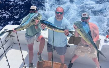 Bite Me Sportfishing Charters, Dolphins and a Blackfin!