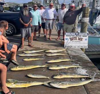 Bite Me Sportfishing Charters, More Dolphin