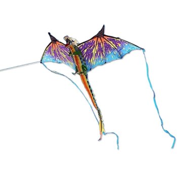 Kitty Hawk Kites, 3D Dragon Kite
