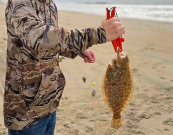 Red Drum Tackle Shop, Tackle Box Essentials
