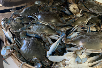 Surf's Up Seafood Market, Local Blue Crabs