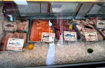 Surf's Up Seafood Market, Fresh Seafood