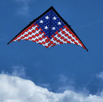 Kitty Hawk Kites, 19ft. Patriotic Mesh Delta