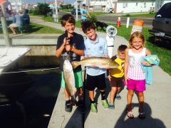 Hatteras Harbor Marina photo