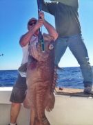 Good Times Sportfishing photo