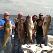 Good Times Sportfishing photo