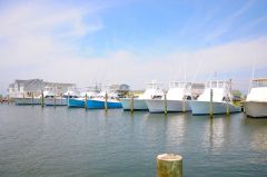 Teach&#039;s Lair Marina at Hatteras Landing photo