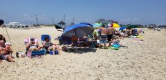 North Beach Campground photo