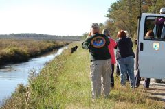 Coastal North Carolina National Wildlife Refuges photo