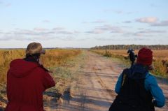 Coastal North Carolina National Wildlife Refuges photo