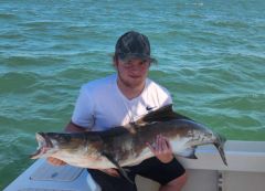 Hatteras Harbor Marina photo