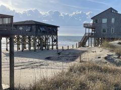 Dolphin Realty photo