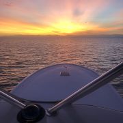 Bite Me Sportfishing Charters photo