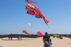 Kitty Hawk Kites photo