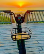 Kitty Hawk Kites photo