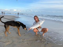 Red Drum Tackle Shop photo