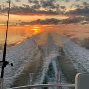 Calypso Sportfishing Charters photo