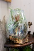 Fisherman&#039;s Daughter Hatteras Boutique photo