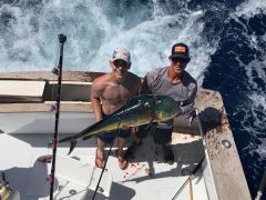 Calypso Sportfishing Charters photo